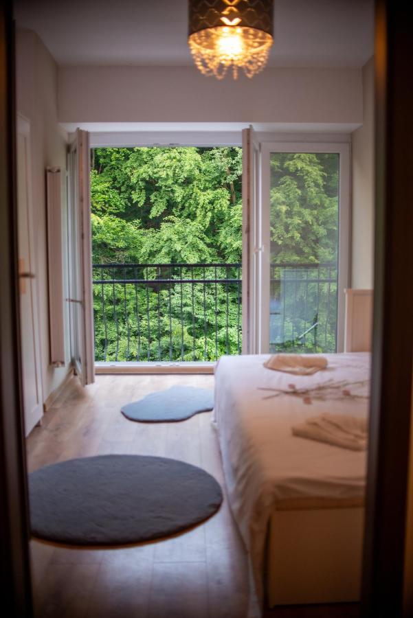 Forest Therapy Suite - Sub Padure Grand Comfort Braşov Dış mekan fotoğraf