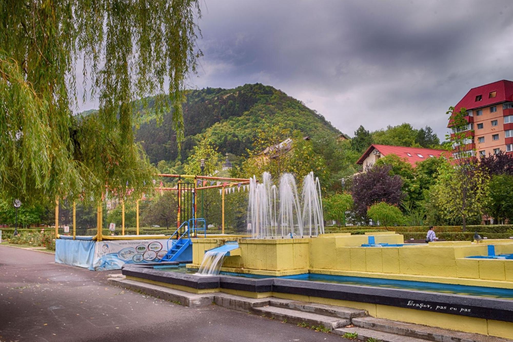 Forest Therapy Suite - Sub Padure Grand Comfort Braşov Dış mekan fotoğraf