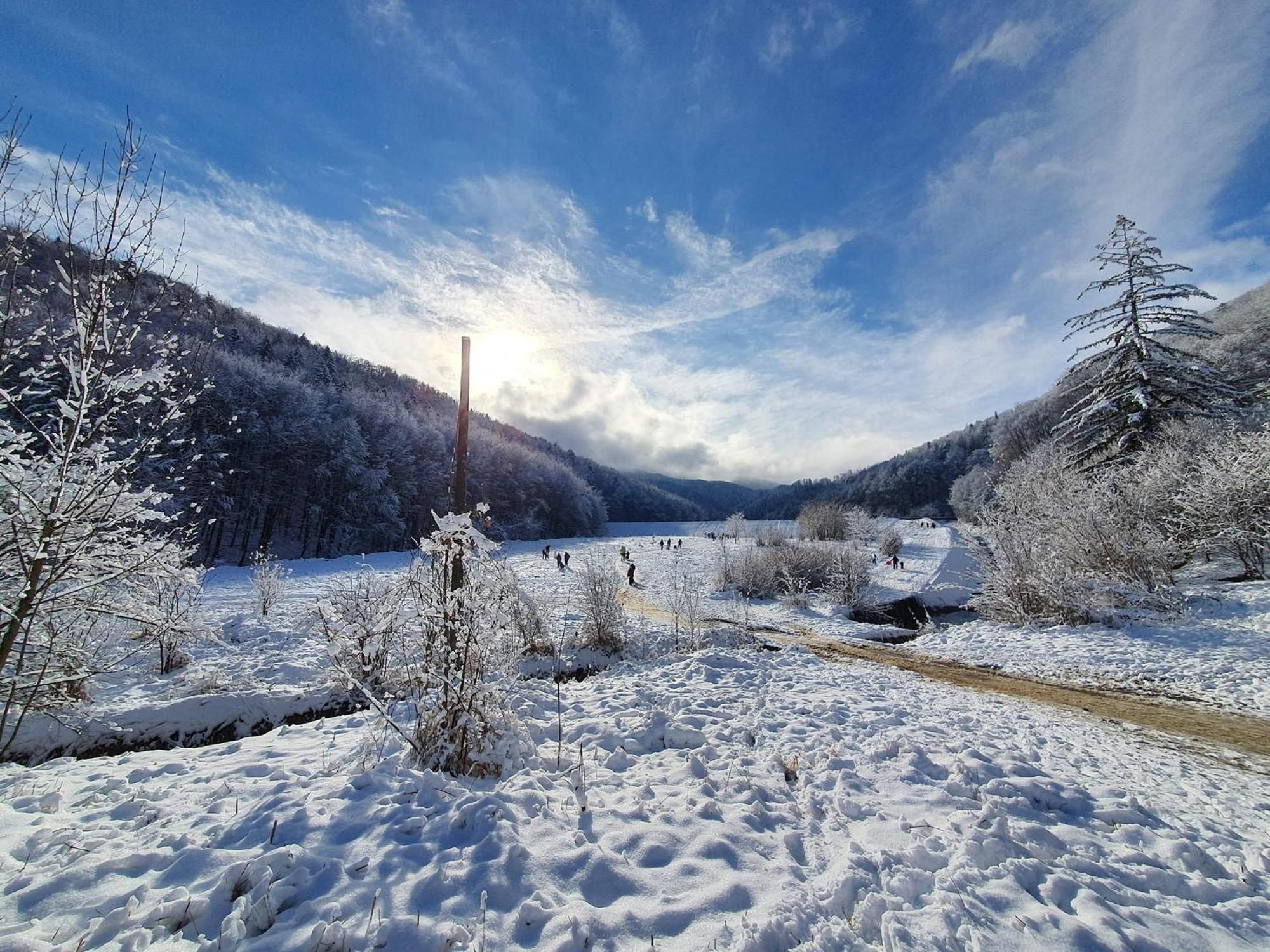 Forest Therapy Suite - Sub Padure Grand Comfort Braşov Dış mekan fotoğraf
